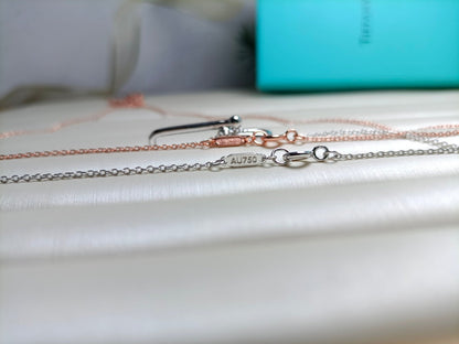 [Renovia Jewelry]HARDWEAR DROP DOUBLE LINK PEDANT NECKLACE