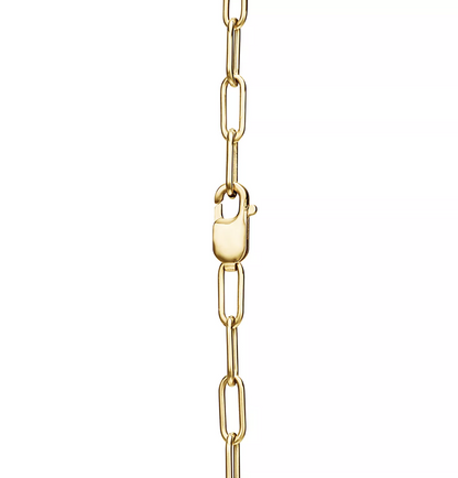 [Renovia Jewelry]LOCK NECKLACE GOLD